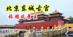狂搞老b中国北京-东城古宫旅游风景区